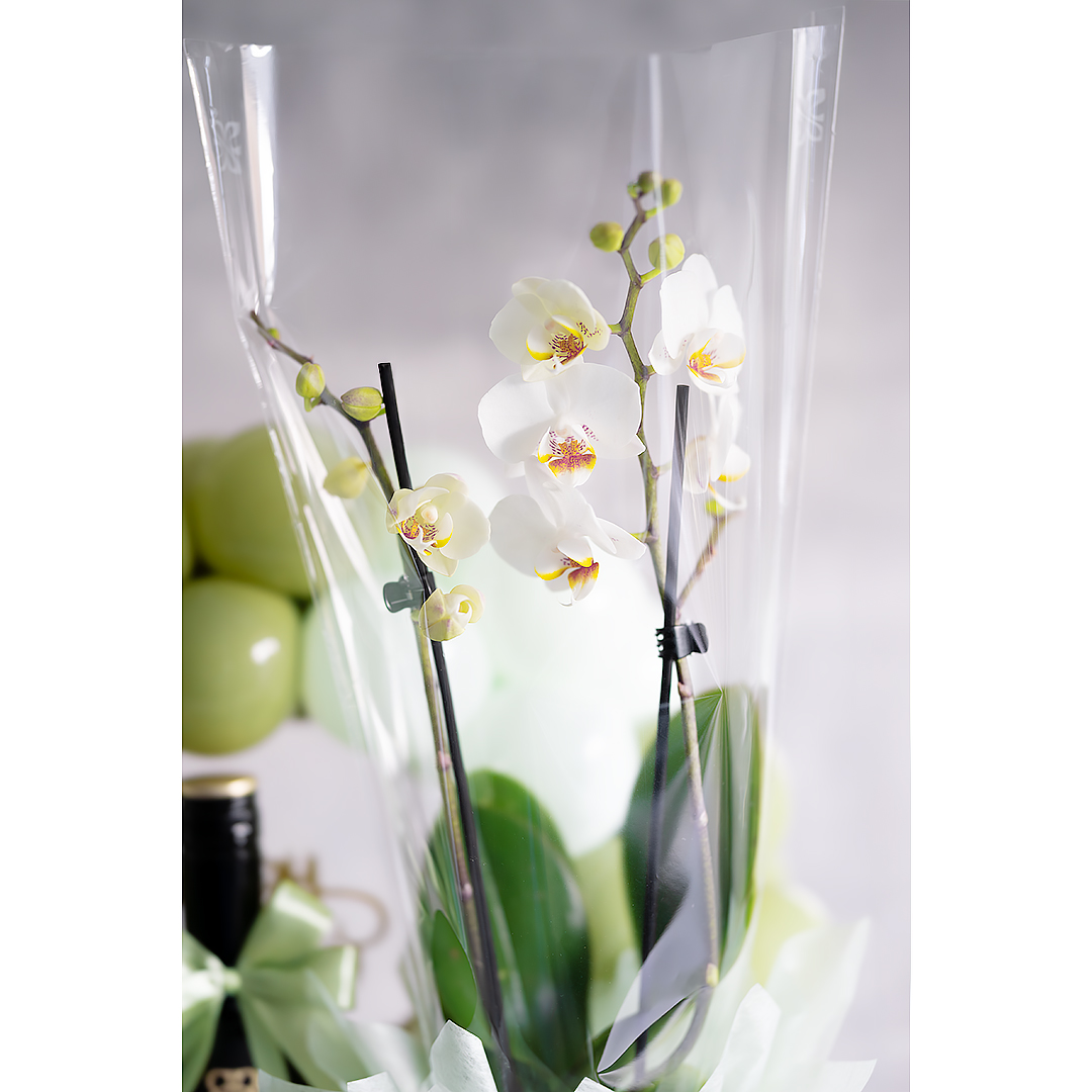 Hamper Option G