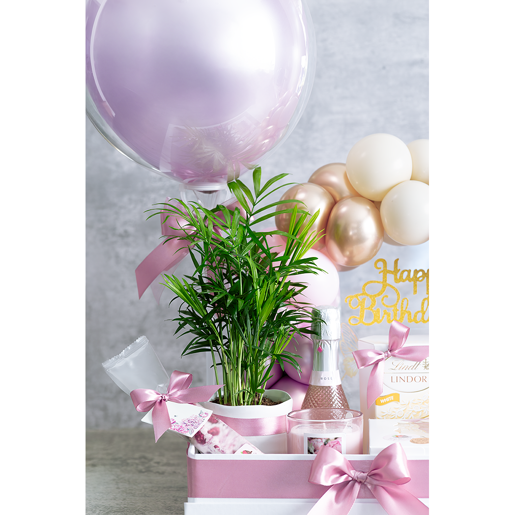 Hamper Option B